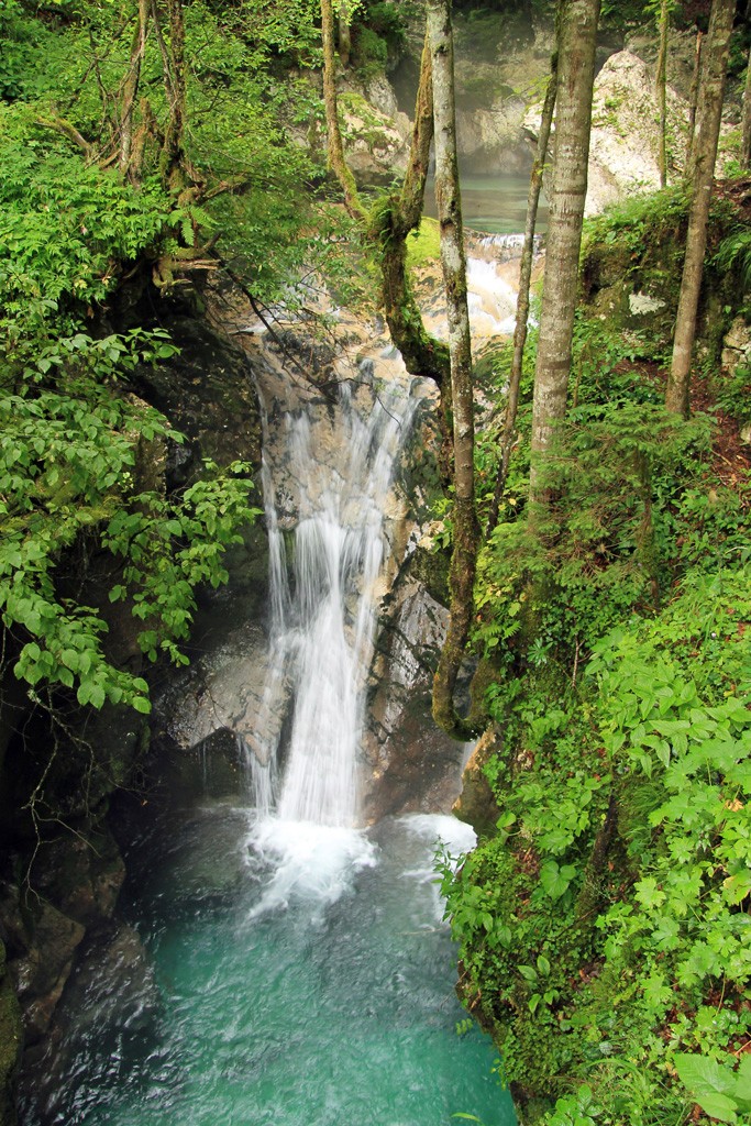 Watervallen Slovenië Sunikov vodni gaj