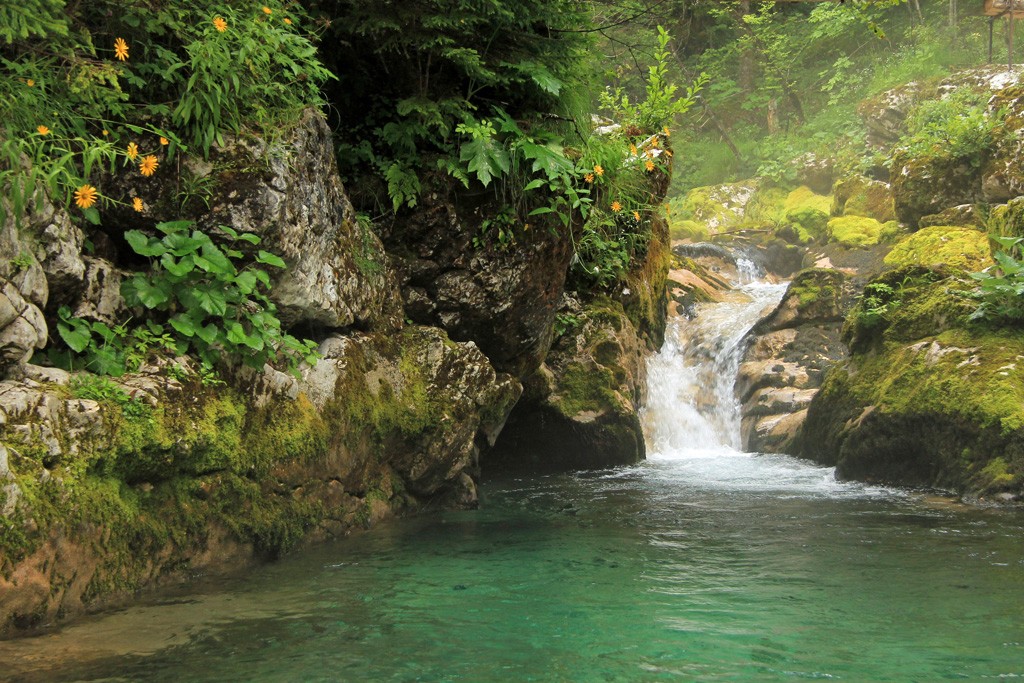 Watervallen Slovenië Sunikov vodni gaj