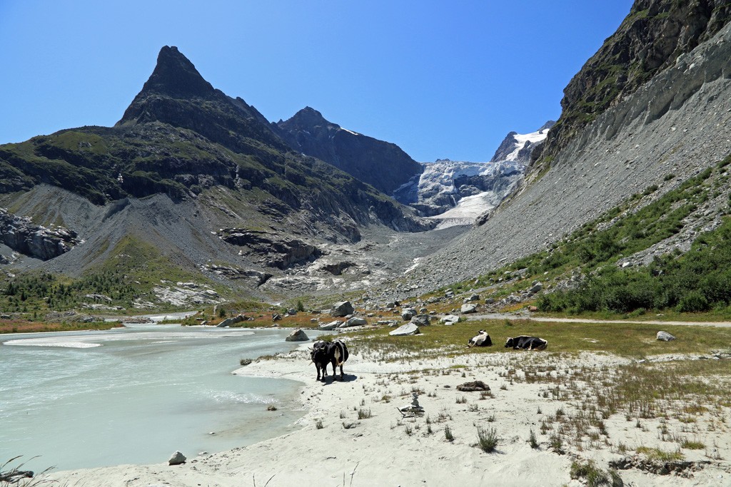 Mont-Miné gletsjer