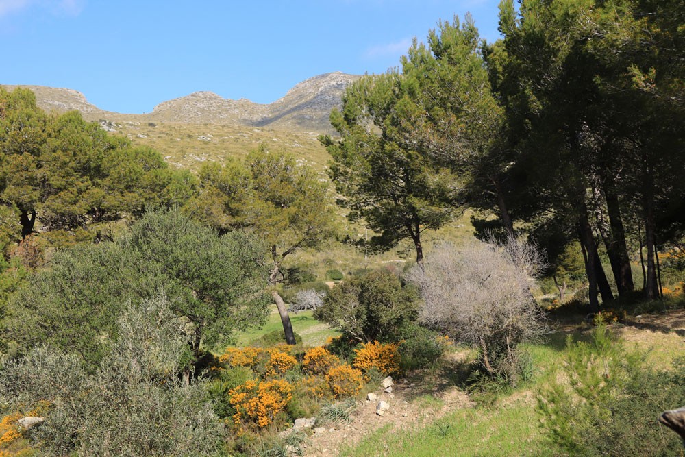 Parc Natural Llevant Mallorca