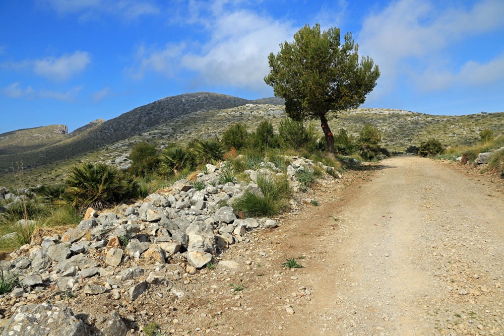 Parc Natural Llevant Mallorca