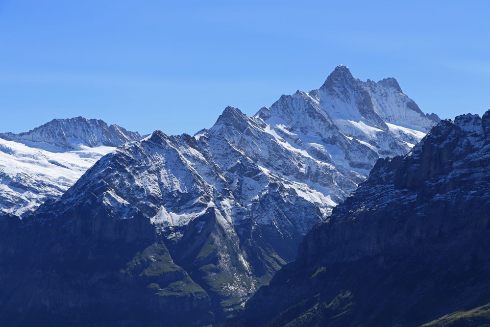 Schreckhorn Grindelwald