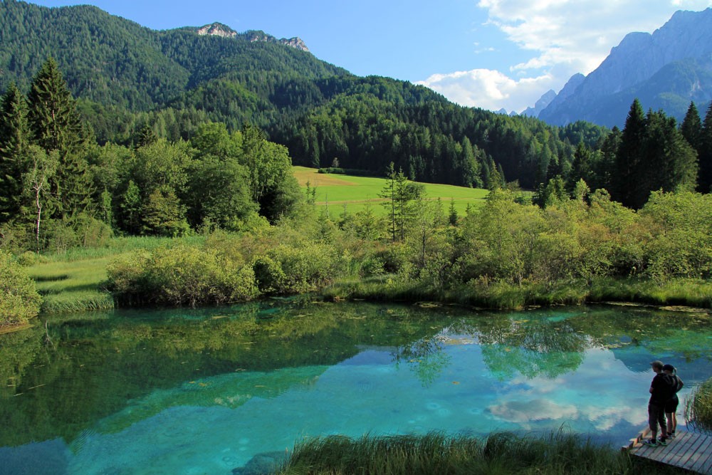 Zelenci natural reserve Slovenië