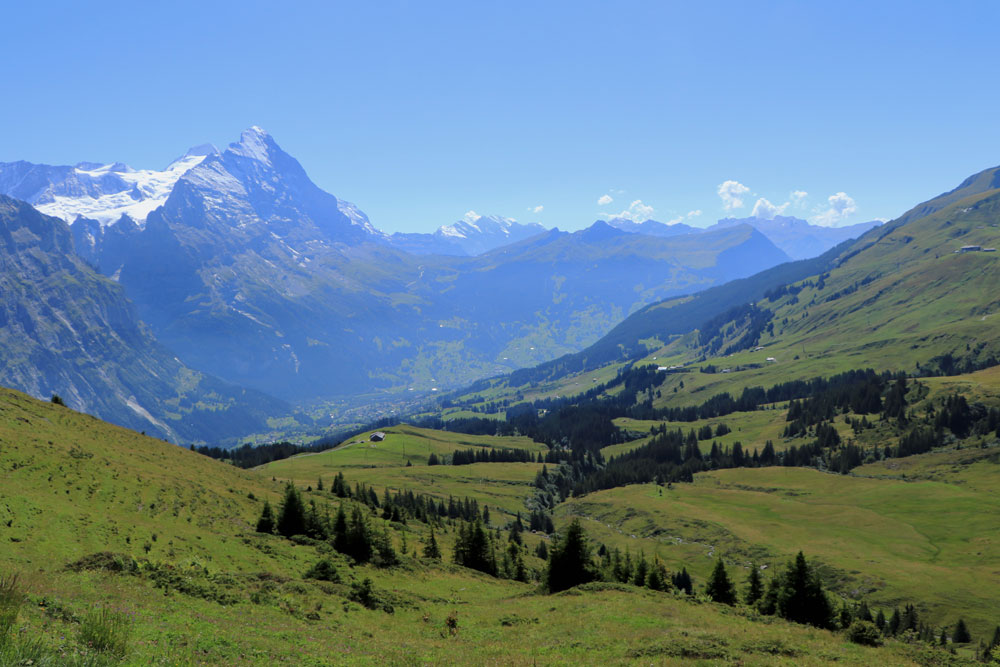 Uitzicht op Grindelwald