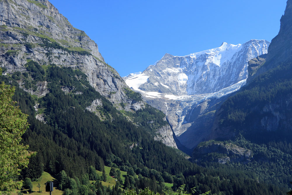 Grindelwaldgletscher