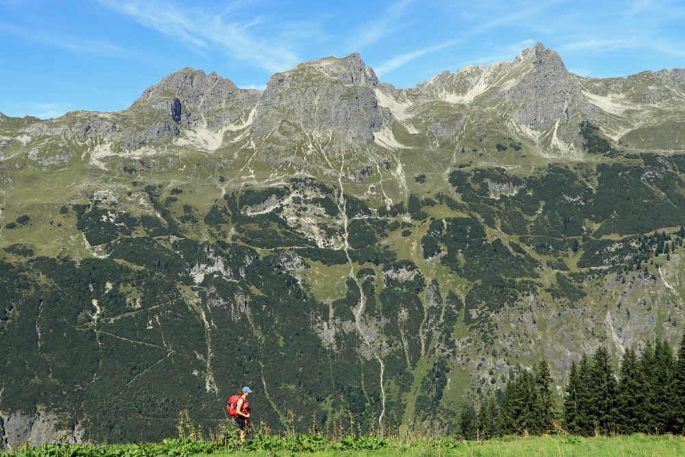 Allgäuer Alpen Steinbocktour