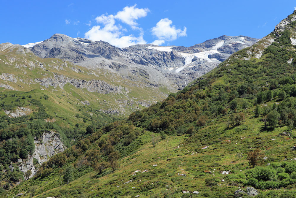 Glacier du Génépy Vanoise