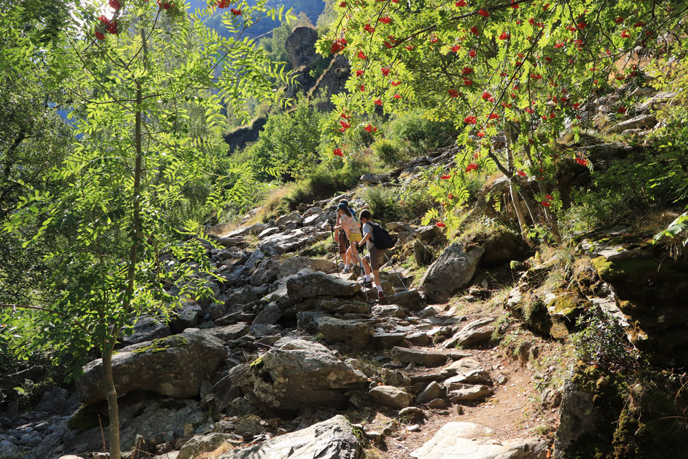 Hike Refuge de La Lavey - Les Ecrins