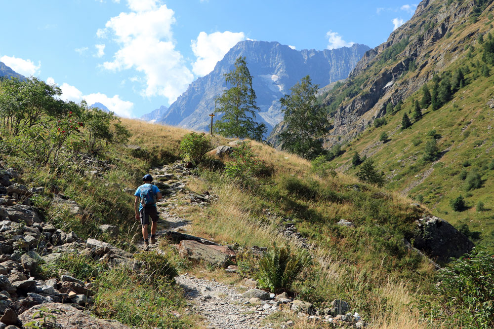 Hike Refuge de La Lavey - Les Ecrins