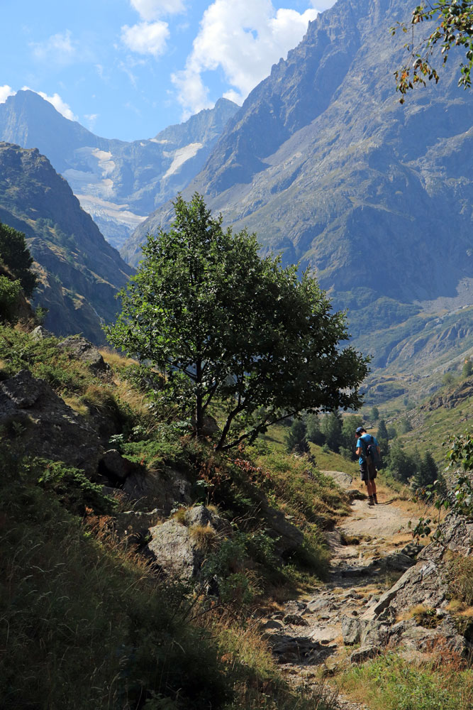 Hike Refuge de La Lavey - Les Ecrins