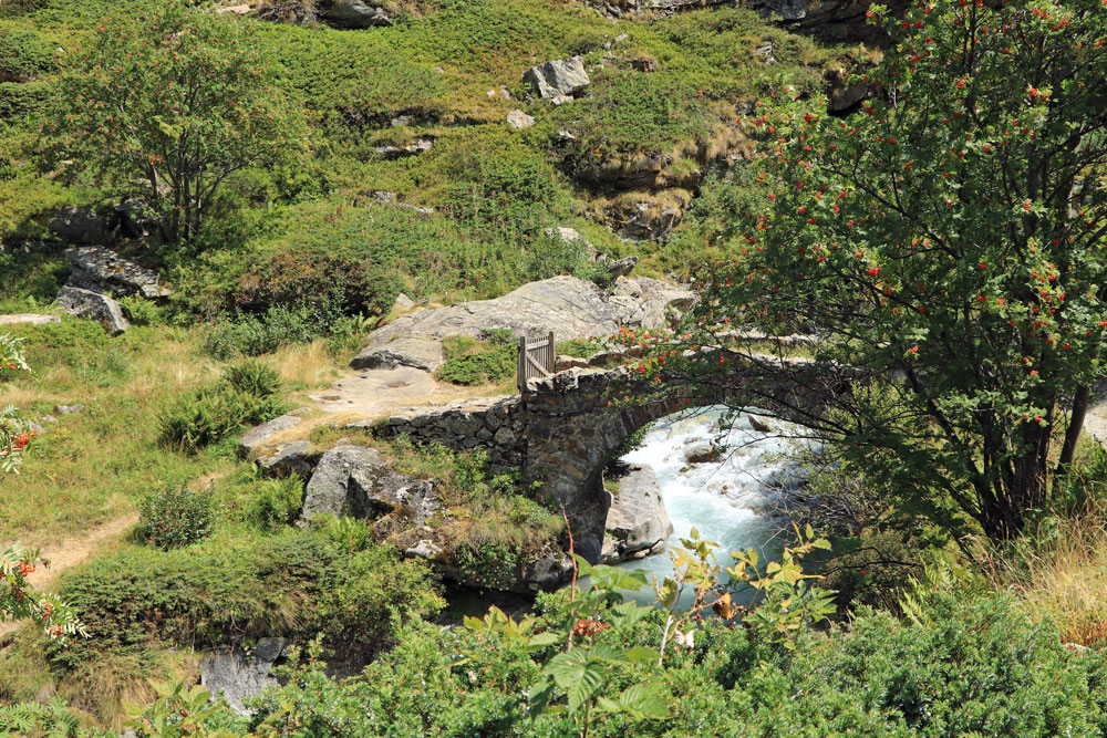 Hike Refuge de La Lavey - Les Ecrins