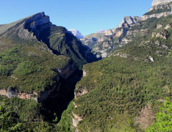 Mirador Añisclo Canyon