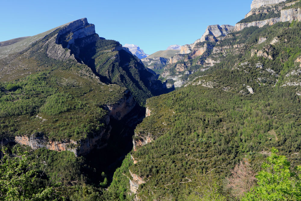Mirador Añisclo Canyon