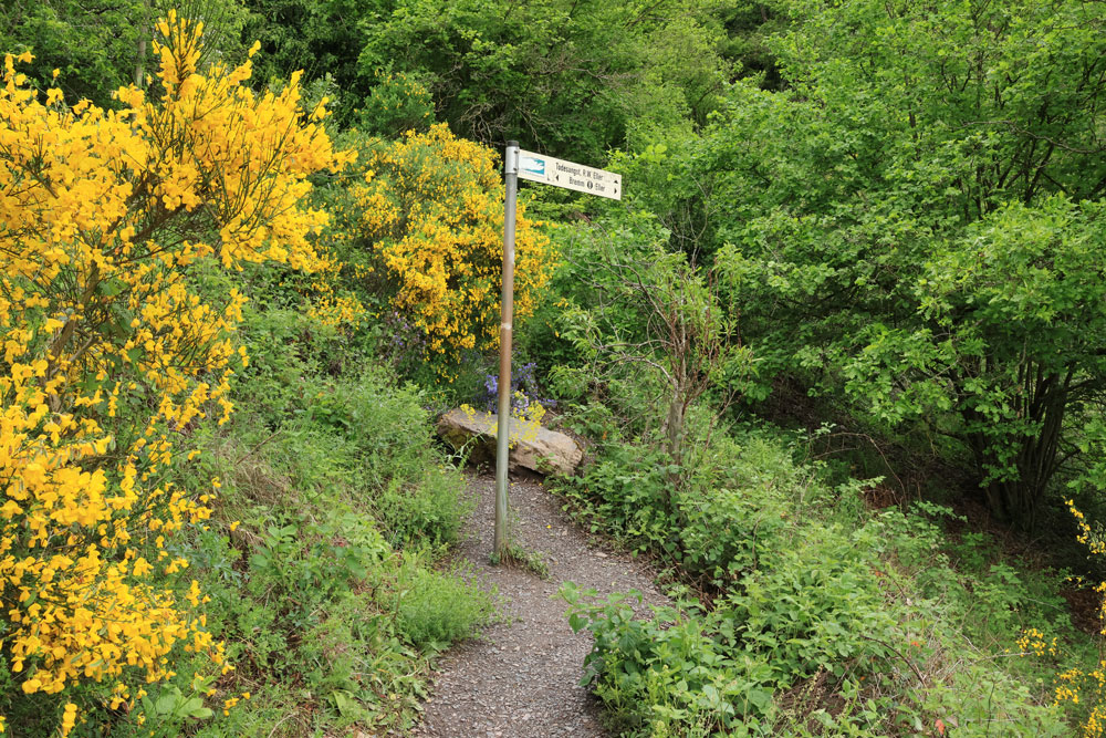 Calmont Klettersteig Moezel