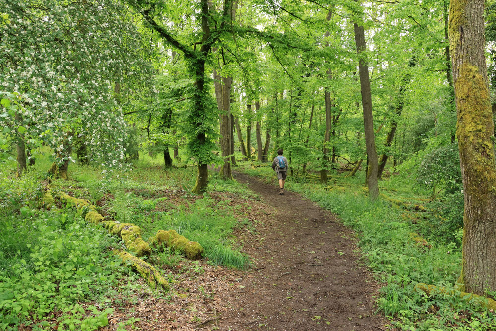 Calmont Höhenweg Moezel