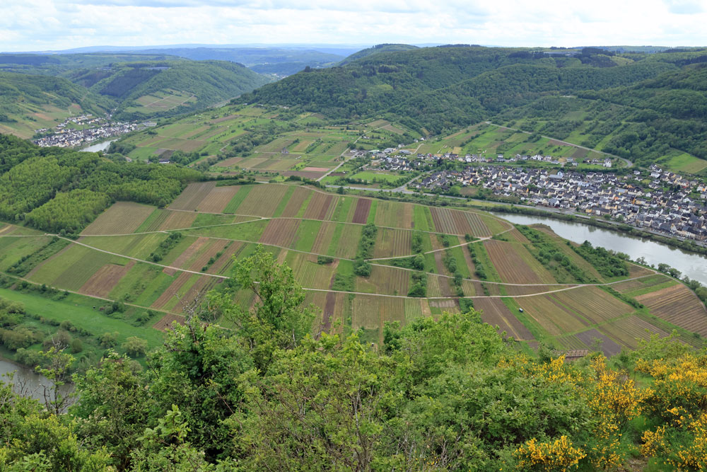 Calmont Höhenweg Moezel