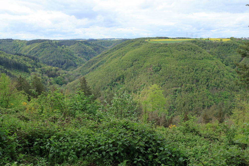 Calmont Höhenweg Moezel