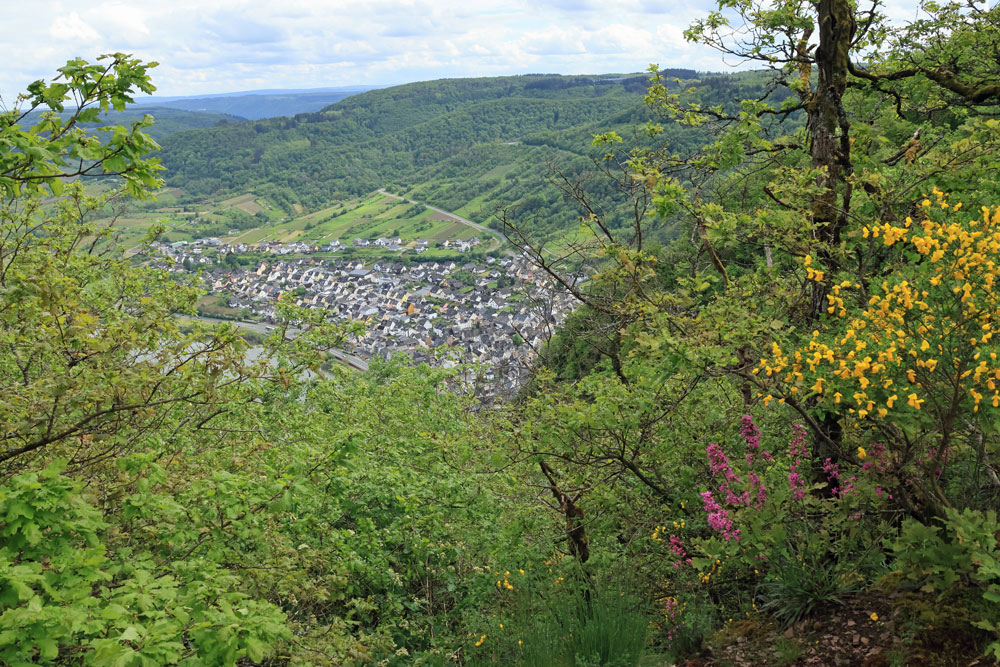 Calmont Höhenweg Moezel