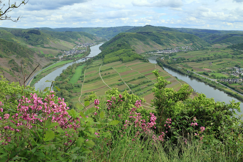 Calmont Höhenweg Moezel