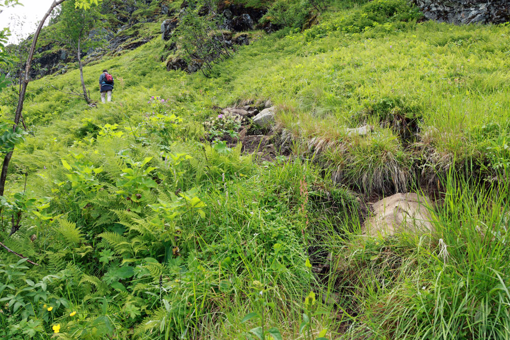 Hike Tindstinden Lofoten Noorwegen