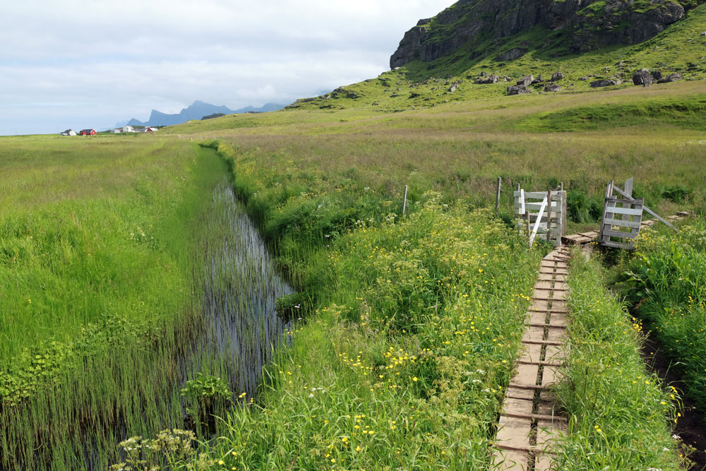 Hike Ryten Lofoten