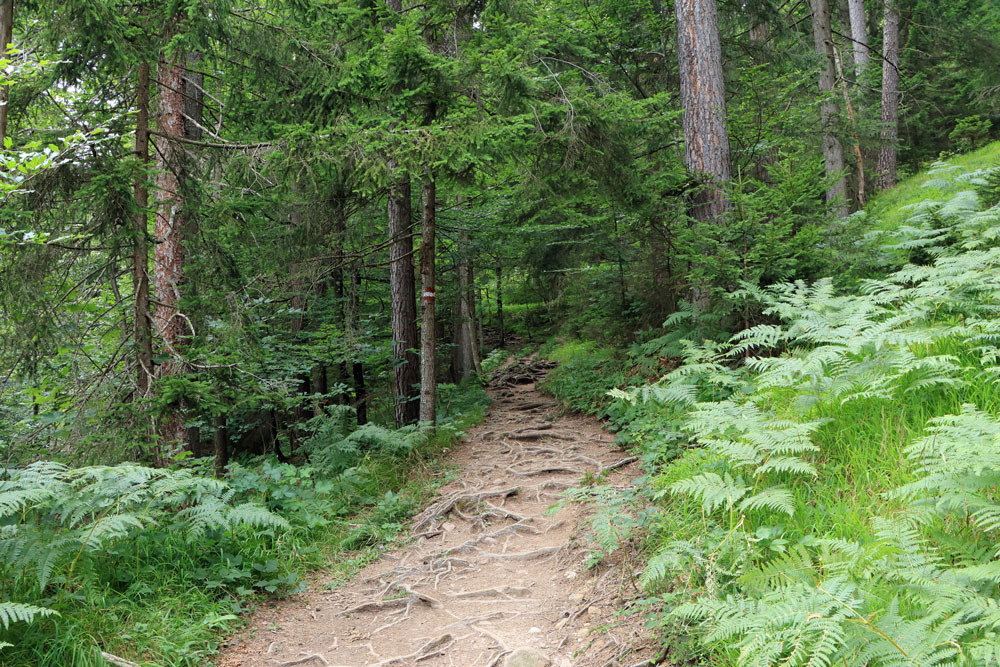 Rondwandeling Hintersteiner See Wilder Kaiser