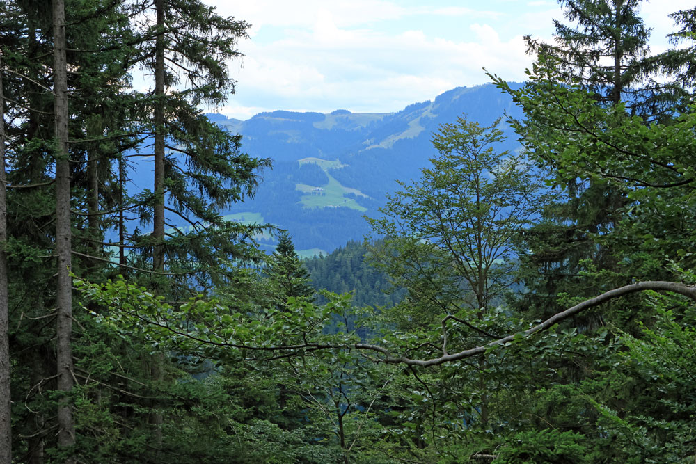 Rondwandeling Hintersteiner See Wilder Kaiser