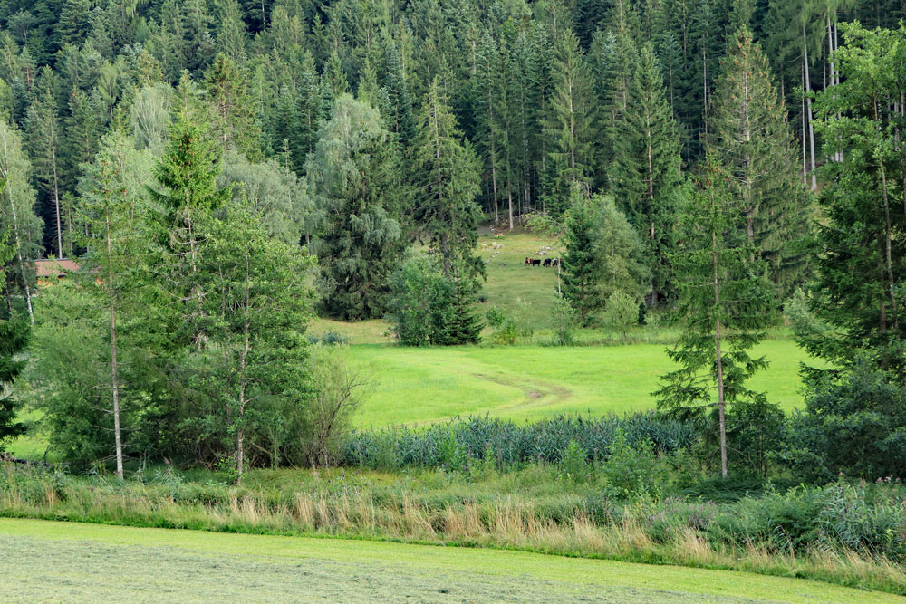 Rondwandeling Hintersteiner See Wilder Kaiser