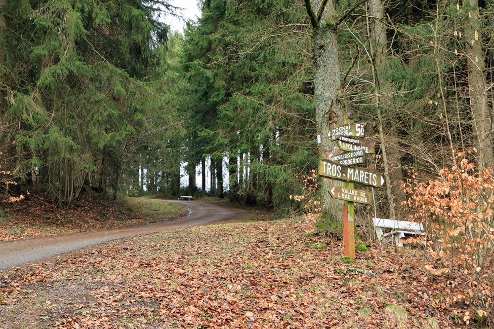 Wandeling Canyon des Trôs-Marets (Ardennen)