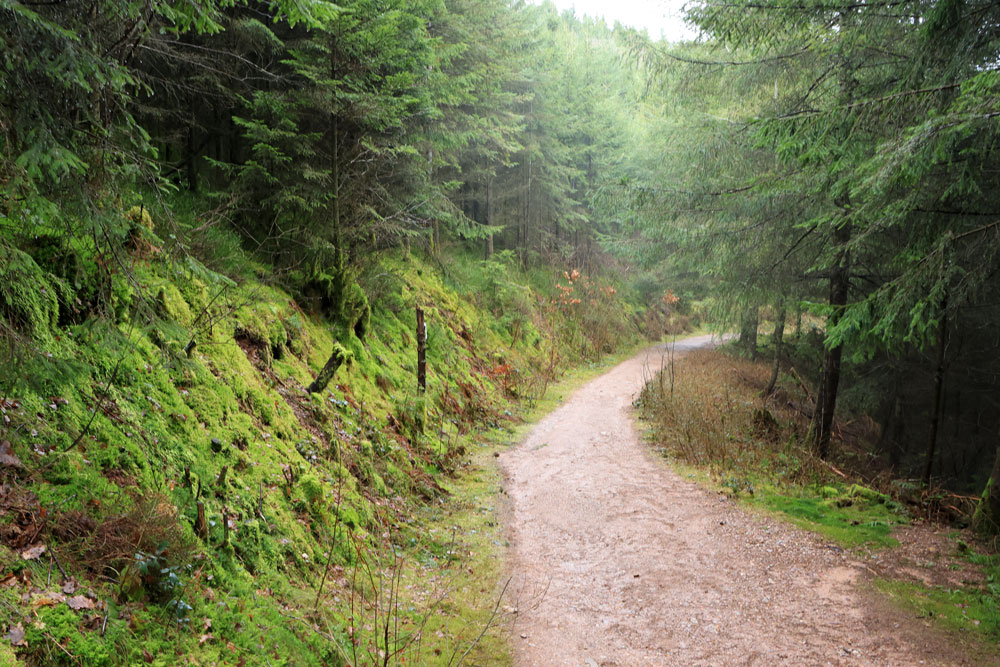 Wandeling Canyon des Trôs-Marets (Ardennen)