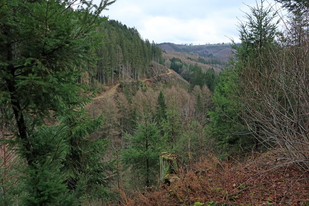 Wandeling Canyon des Trôs-Marets (Ardennen)