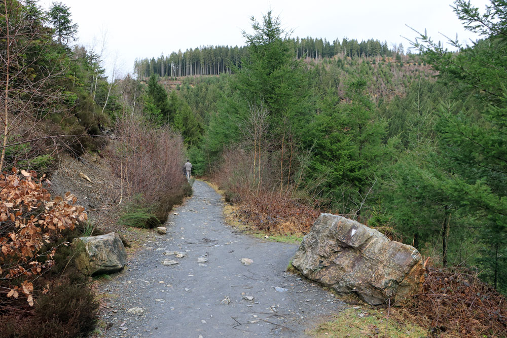 Wandeling Canyon des Trôs-Marets (Ardennen)