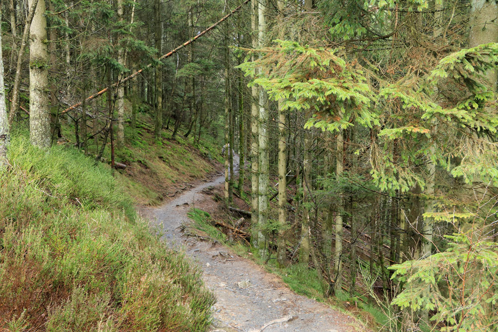 Wandeling Canyon des Trôs-Marets (Ardennen)