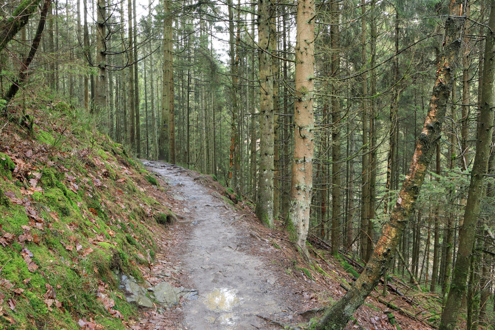 Wandeling Canyon des Trôs-Marets (Ardennen)