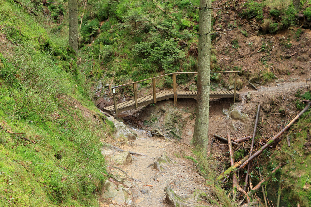 Wandeling Canyon des Trôs-Marets (Ardennen)