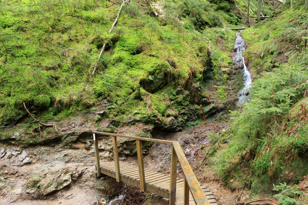 Wandeling Canyon des Trôs-Marets (Ardennen)