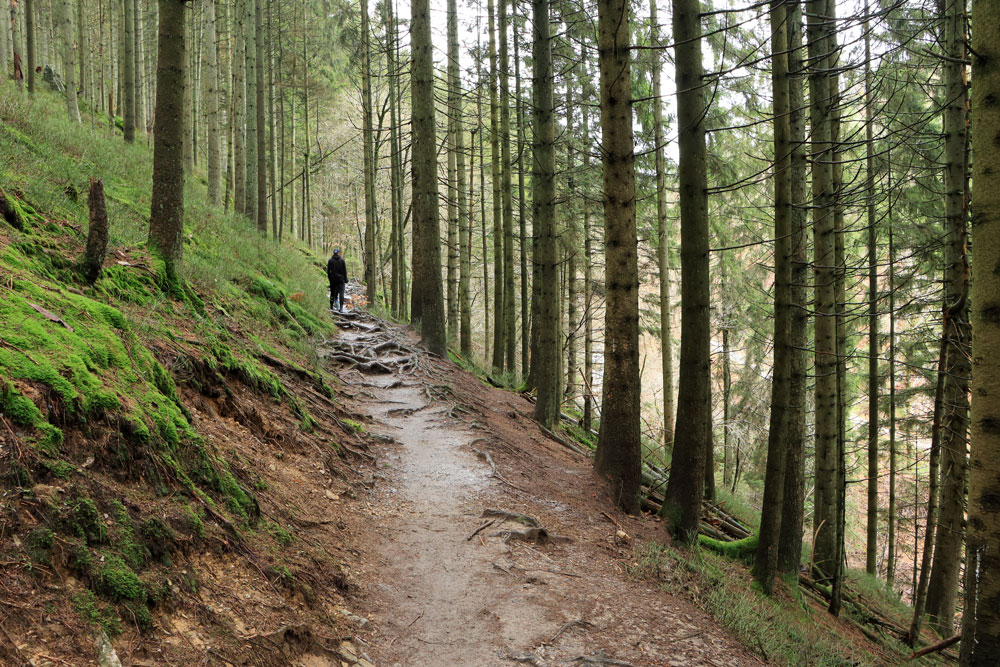 Wandeling Canyon des Trôs-Marets (Ardennen)