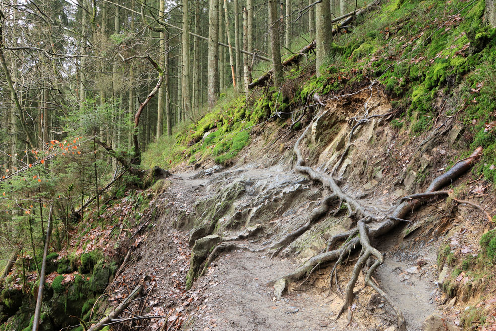 Wandeling Canyon des Trôs-Marets (Ardennen)