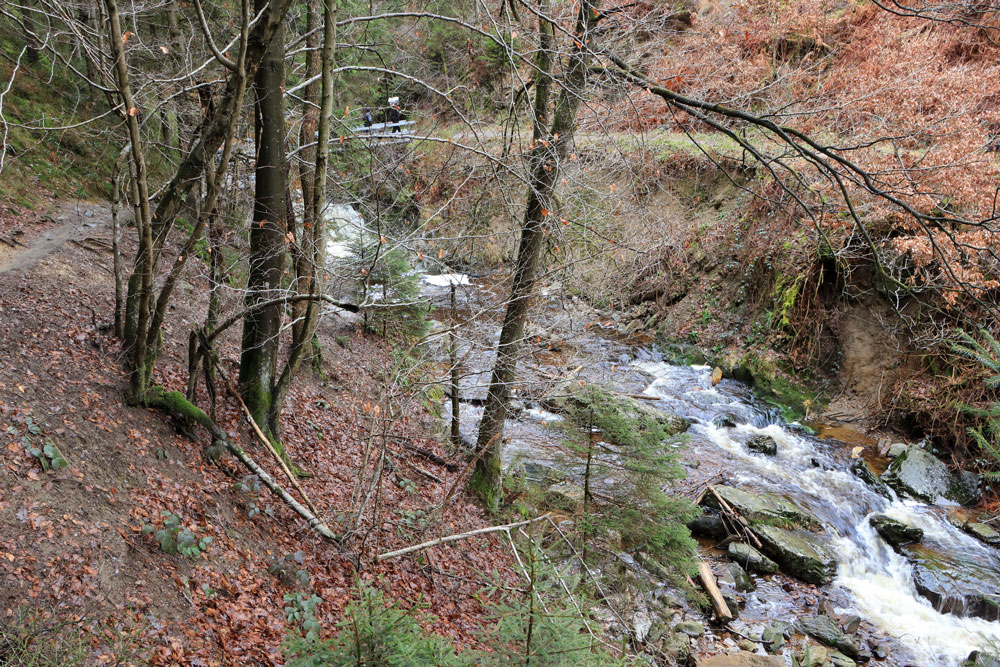 Wandeling Canyon des Trôs-Marets (Ardennen)