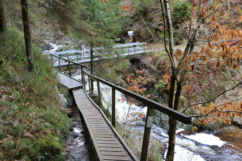 Wandeling Canyon des Trôs-Marets (Ardennen)