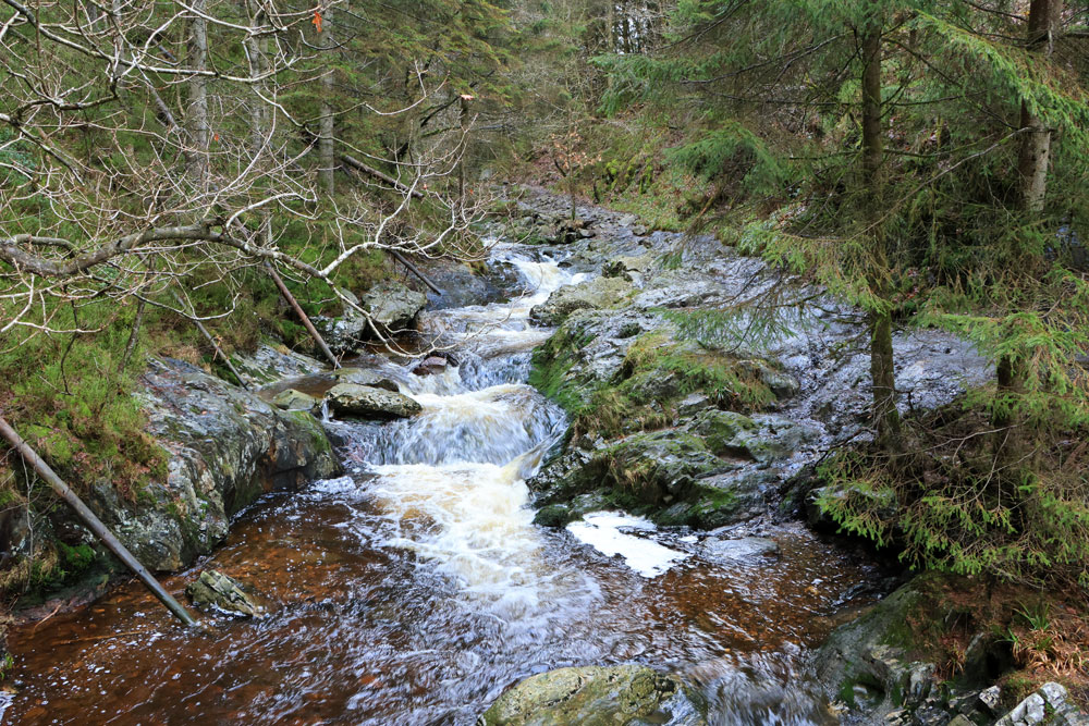 Wandeling Canyon des Trôs-Marets (Ardennen)