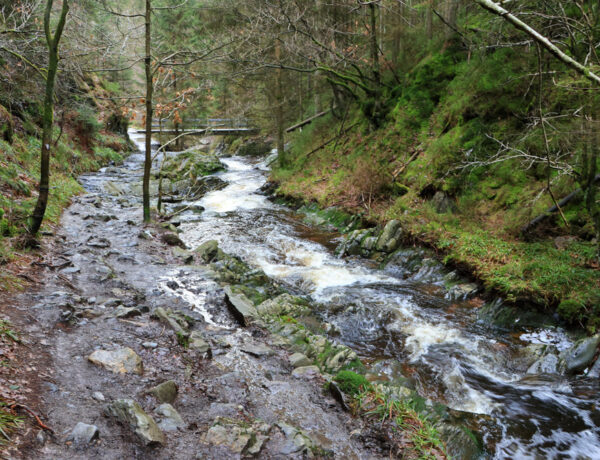 Wandeling Canyon des Trôs-Marets (Ardennen)