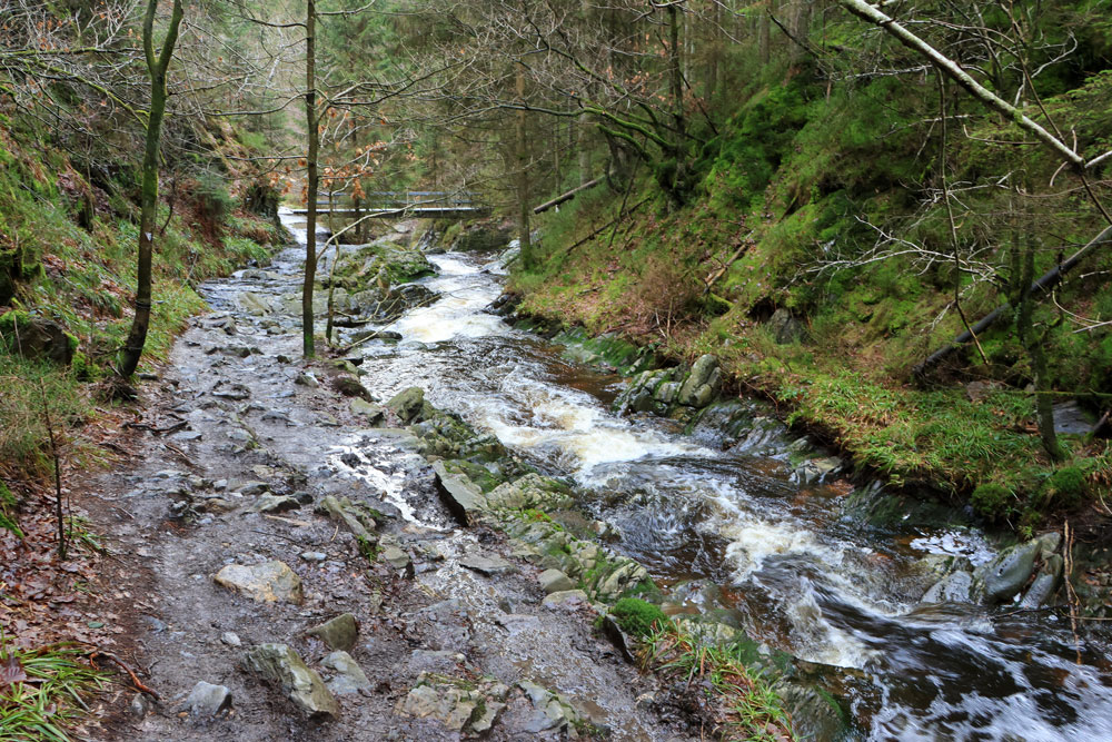 Wandeling Canyon des Trôs-Marets (Ardennen)