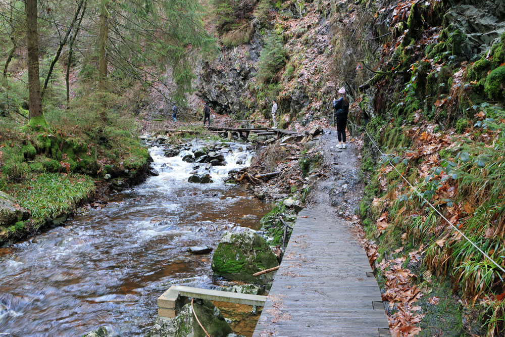 Wandeling Canyon des Trôs-Marets (Ardennen)