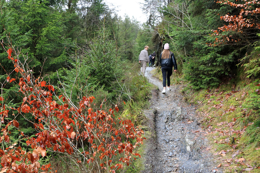 Wandeling Canyon des Trôs-Marets (Ardennen)