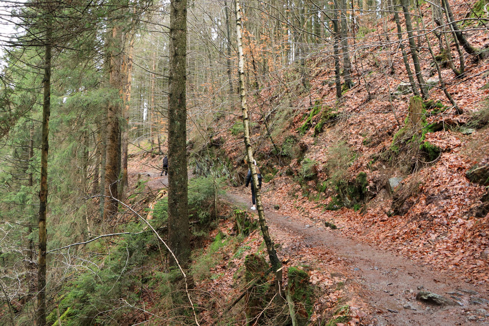 Wandeling Canyon des Trôs-Marets (Ardennen)