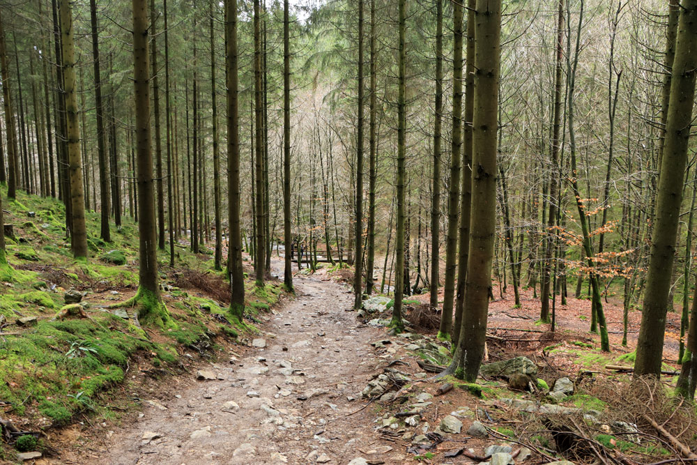 Wandeling Canyon des Trôs-Marets (Ardennen)