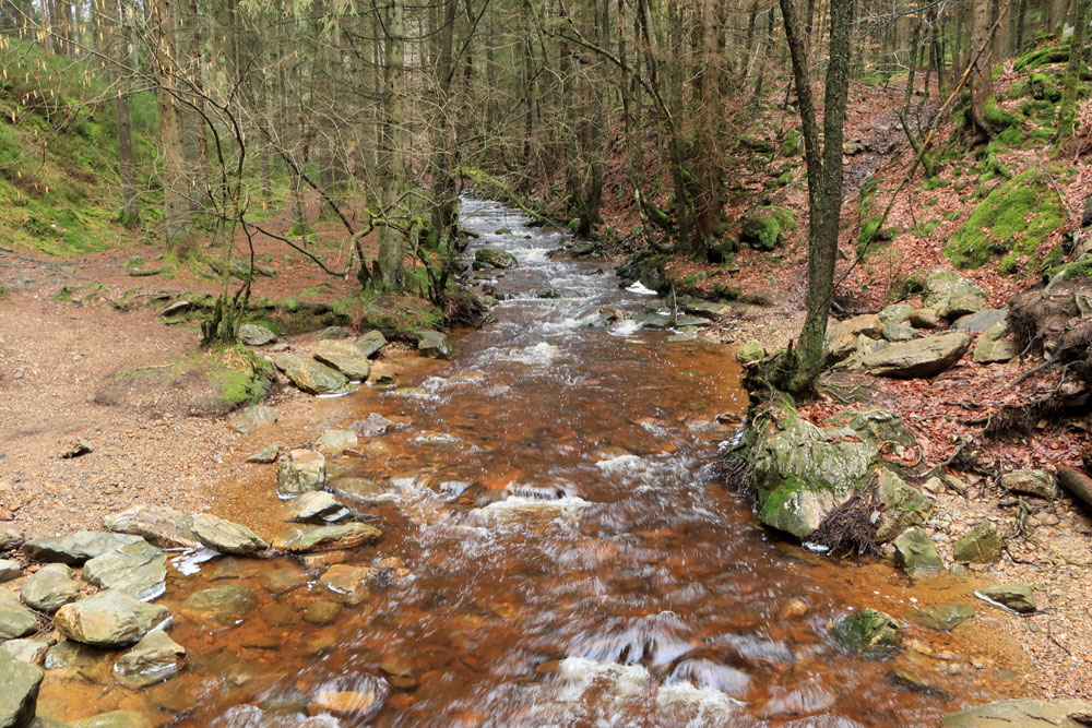 Wandeling Canyon des Trôs-Marets (Ardennen)