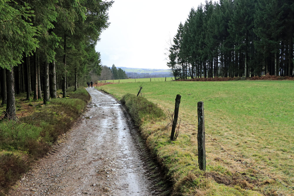 Wandeling Canyon des Trôs-Marets (Ardennen)