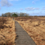 Wandeling Veen van Malchamps - Ardennen